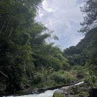 評論圖片 1