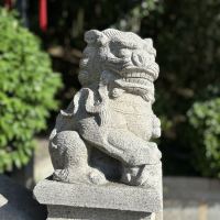 評論圖片 5