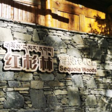 評論圖片 5
