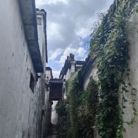 評論圖片 5