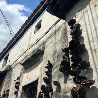 評論圖片 9