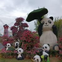 評論圖片 1