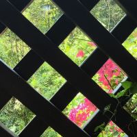 評論圖片 8