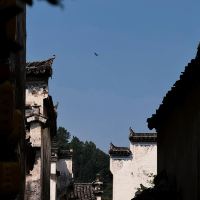 評論圖片 3
