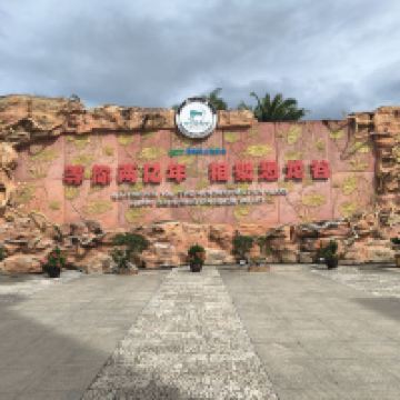 評論圖片 6