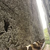 評論圖片 9
