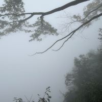 評論圖片 2