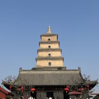 評論圖片 2