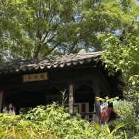 評論圖片 3
