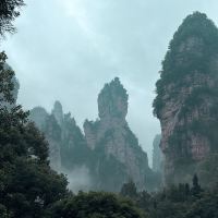 評論圖片 2
