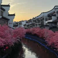 評論圖片 3
