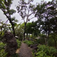 評論圖片 6