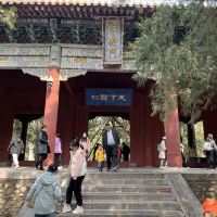 評論圖片 3