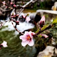 評論圖片 7