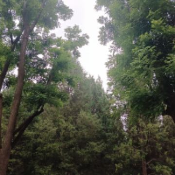 評論圖片 9