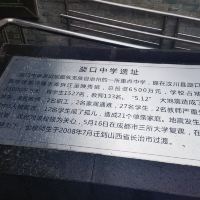 評論圖片 7
