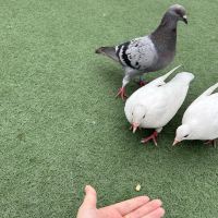 評論圖片 3