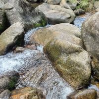 評論圖片 3
