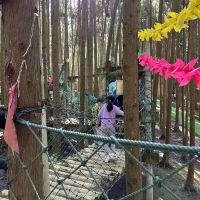 評論圖片 2