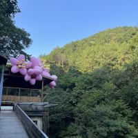 評論圖片 3