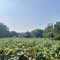 評論圖片 6