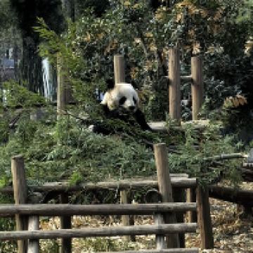 評論圖片 6