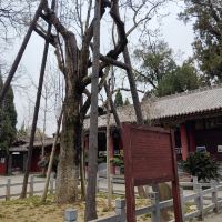 評論圖片 6