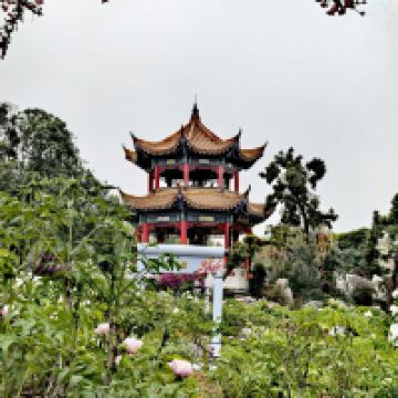 評論圖片 2