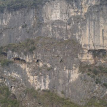 評論圖片 9