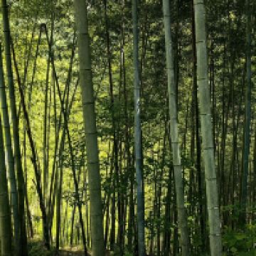 評論圖片 3