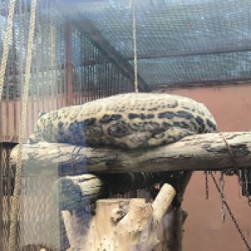 評論圖片 5