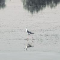 評論圖片 3