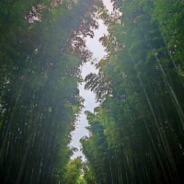 評論圖片 5