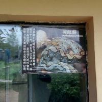 評論圖片 3