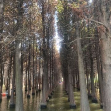 評論圖片 2