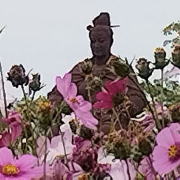 評論圖片 3