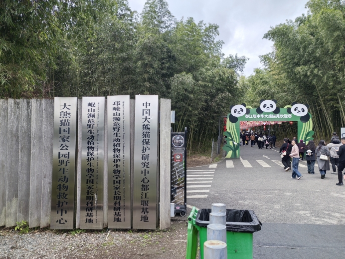 Dujiangyan Panda Base Tickets 2026: Panda Valley Tours & Prices