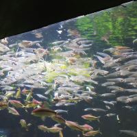 評論圖片 5
