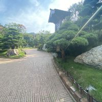 評論圖片 5