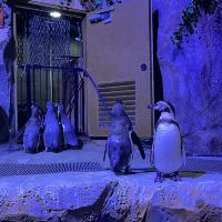 評論圖片 6
