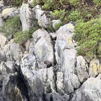 評論圖片 4