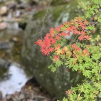 評論圖片 6