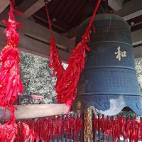 評論圖片 6