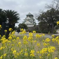 評論圖片 5