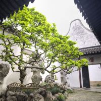 評論圖片 1