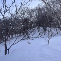 評論圖片 6