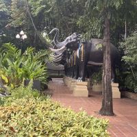 評論圖片 5