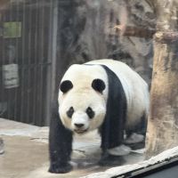 評論圖片 8