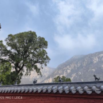 評論圖片 7