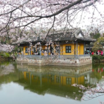 評論圖片 7